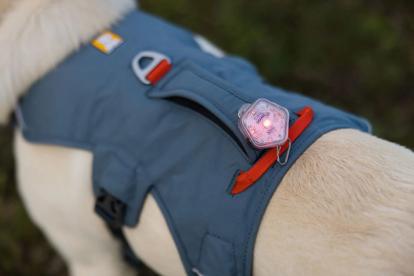 Web Master Harness® / Pechera Multiusos con Asa / Azul Piedra (Blue Slate) / Ruffwear