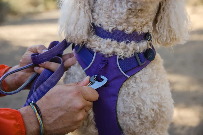 Collar para Perros Front Range® Purple sage