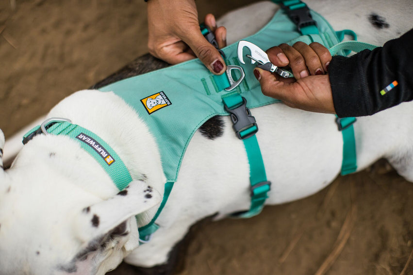 Hi & Light® Collar Ultraligero en Verde Menta (Sage Green) de Ruffwear