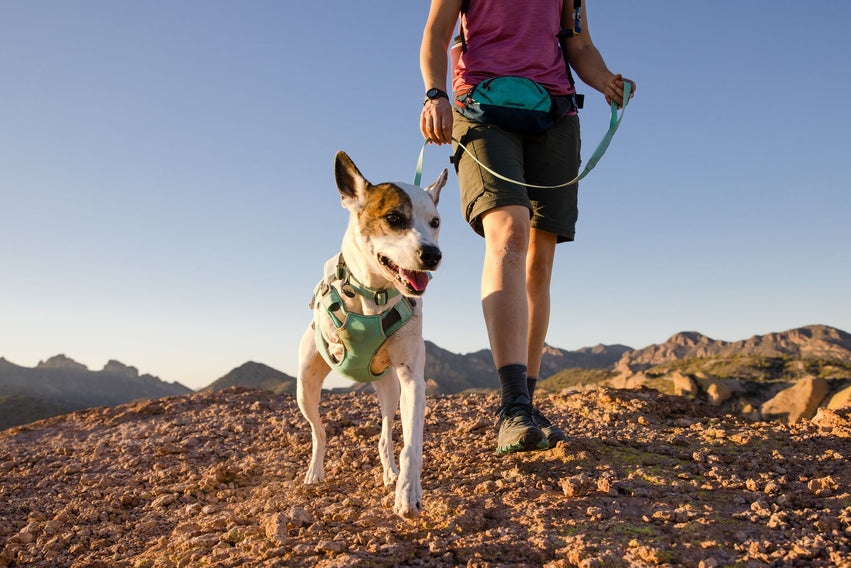 Hi & Light® Collar Ultraligero en Verde Menta (Sage Green) de Ruffwear