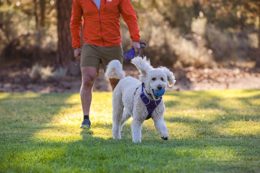 Huckama® Pelota para Aventar / Naranja (Campfire Orange) / Ruffwear®