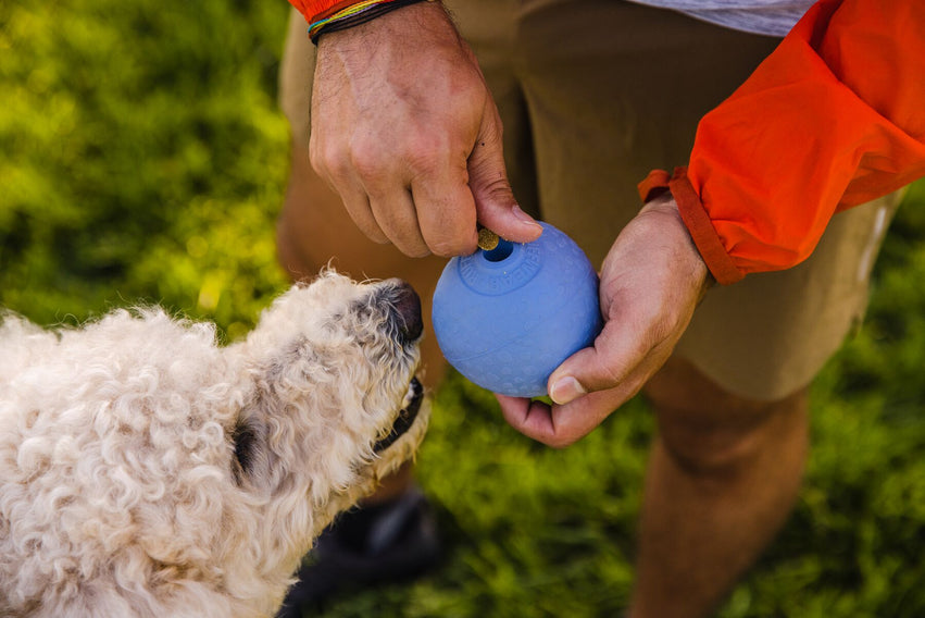 Huckama® Pelota para Aventar / Purpura (Heliotrope Purple) / Ruffwear®