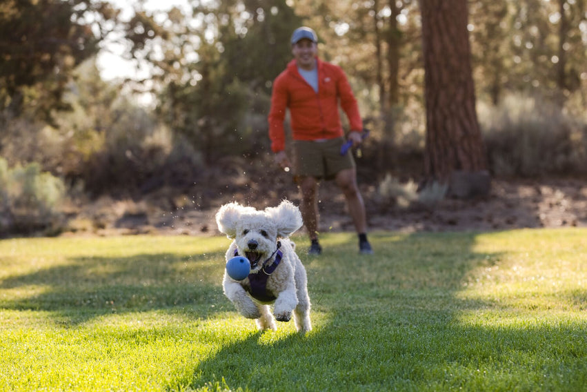 Huckama® Pelota para Aventar / Verde Menta (Sage Green) / Ruffwear®