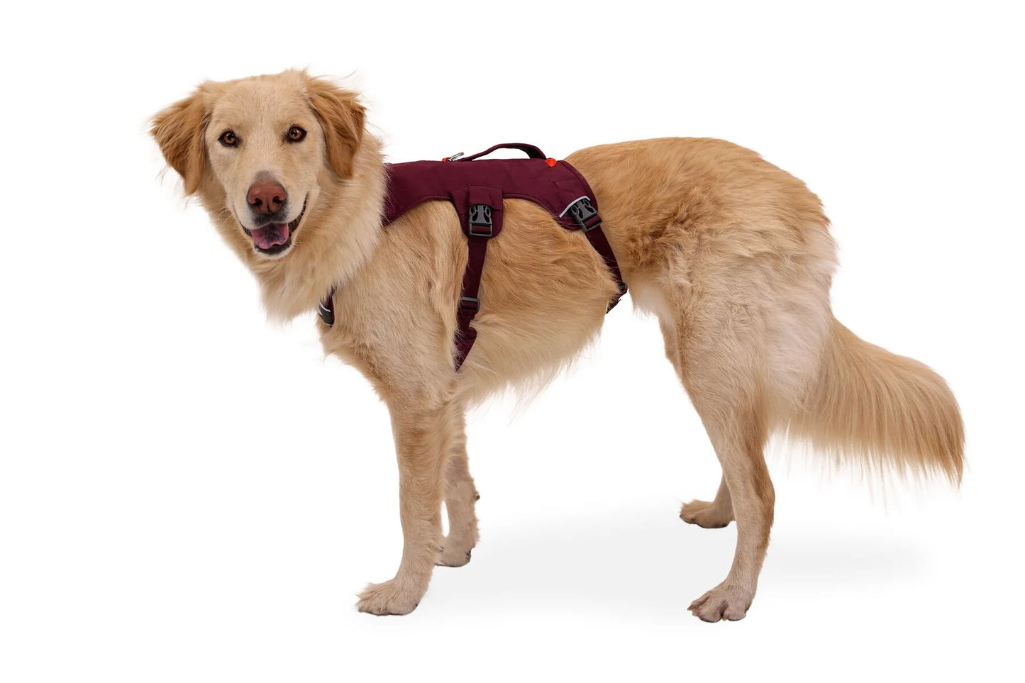 Web Master Harness® / Pechera Multiusos con Asa / Rojo (Red Sumac) / Ruffwear