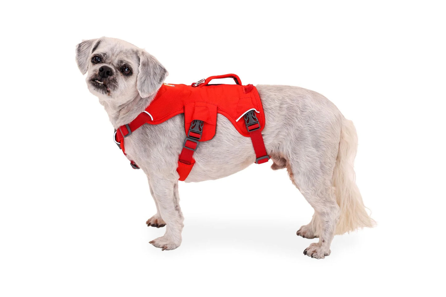 Web Master Harness® / Pechera Multiusos con Asa / Rojo (Red Sumac) / Ruffwear