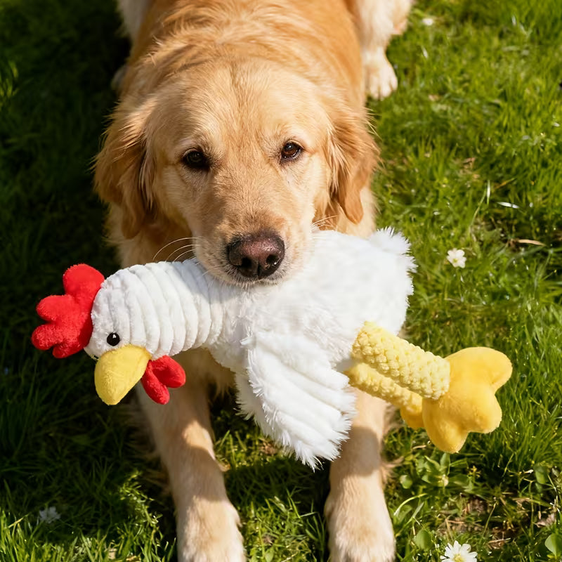 Juguete de peluche para perro / Gallito de peluche