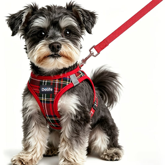 Dölife Arnés Reflectante con Correa para Perro y Gato – Rojo Talla M