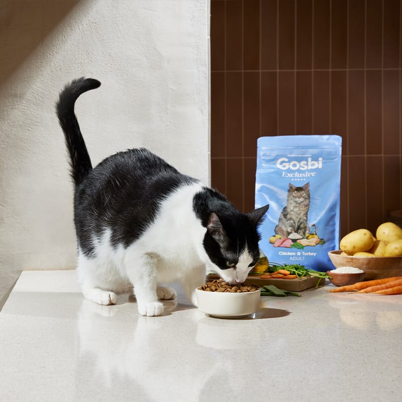 Alimento para gato / Gosbi Exclusive Gato Adulto / Pollo y pavo / 400 gr