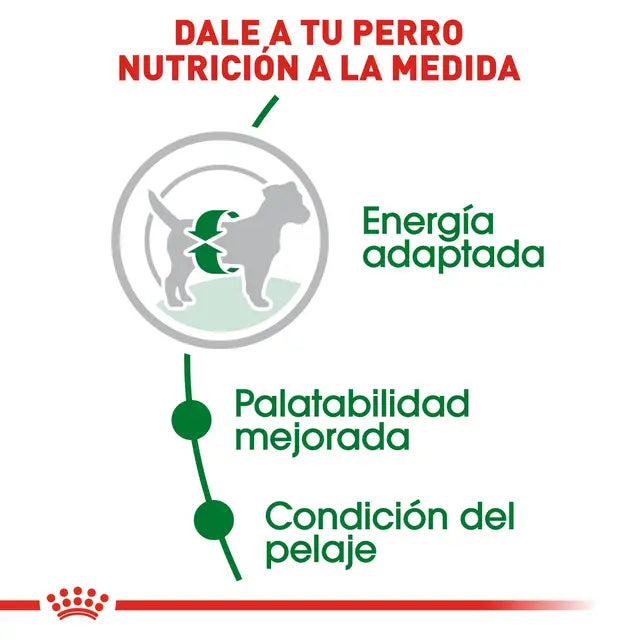 Royal Canin Adulto Raza Pequeña – Alimento Seco para Perro