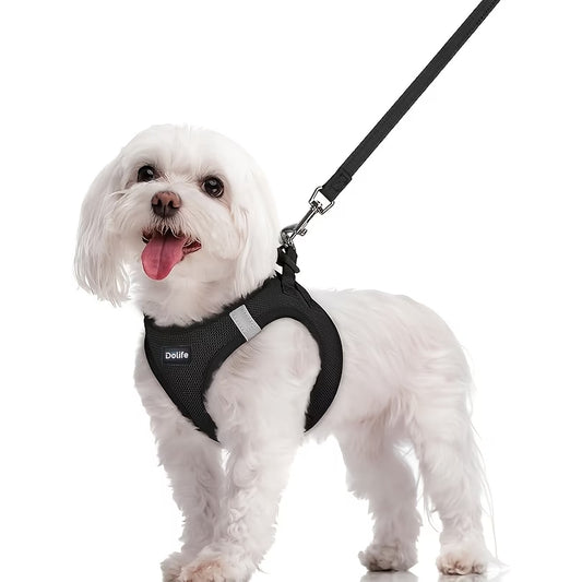 Dölife Arnés Reflectante con Correa para Perro y Gato – Negro Talla S