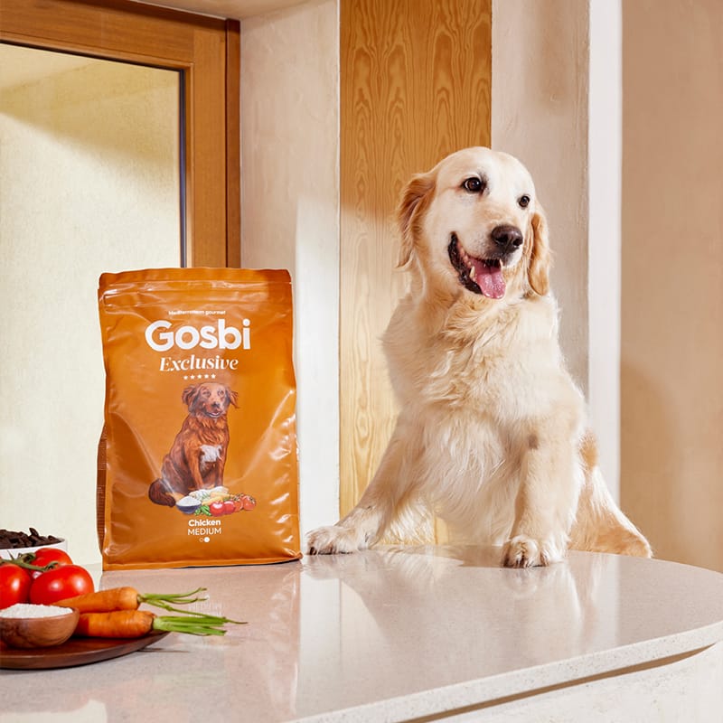Alimento para perro / Gosbi Exclusive adulto / Pollo y pescado / 12 kg