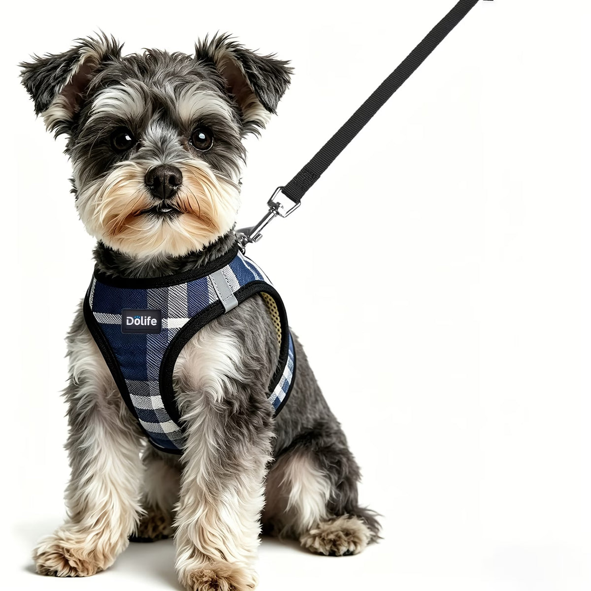 Dölife Arnés Reflectante con Correa para Perro y Gato – Azul Marino Talla XS