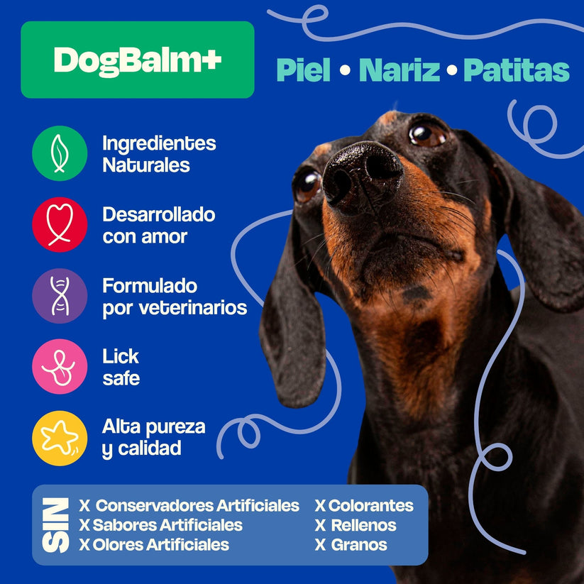 Dogelthy / Dog Balm en tarro / Bálsamo Hidratante para Piel, Patitas y Nariz. Anti Resequedad y Agrietamiento 50g.