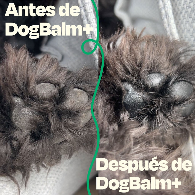 Dogelthy / Dog Balm en tarro / Bálsamo Hidratante para Piel, Patitas y Nariz. Anti Resequedad y Agrietamiento 50g.