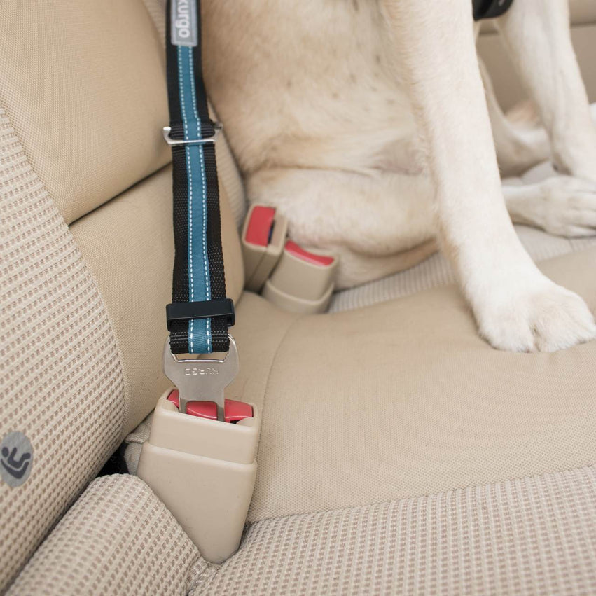 Línea de Cinturón De Seguridad Para Perros para el Carro - Kurgo® Auto — La  Tienda de Frida & Chelsee