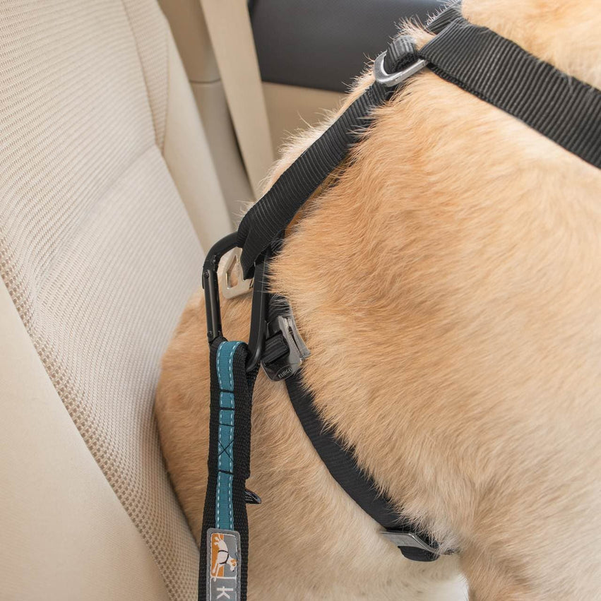 Cinturón De Seguridad para perro / Kurgo® Direct to Seat Belt