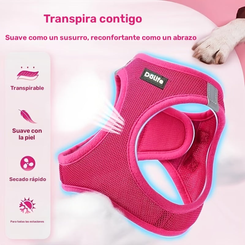 Dölife Arnés Reflectante con Correa para Perro y Gato – Azul Claro Talla S