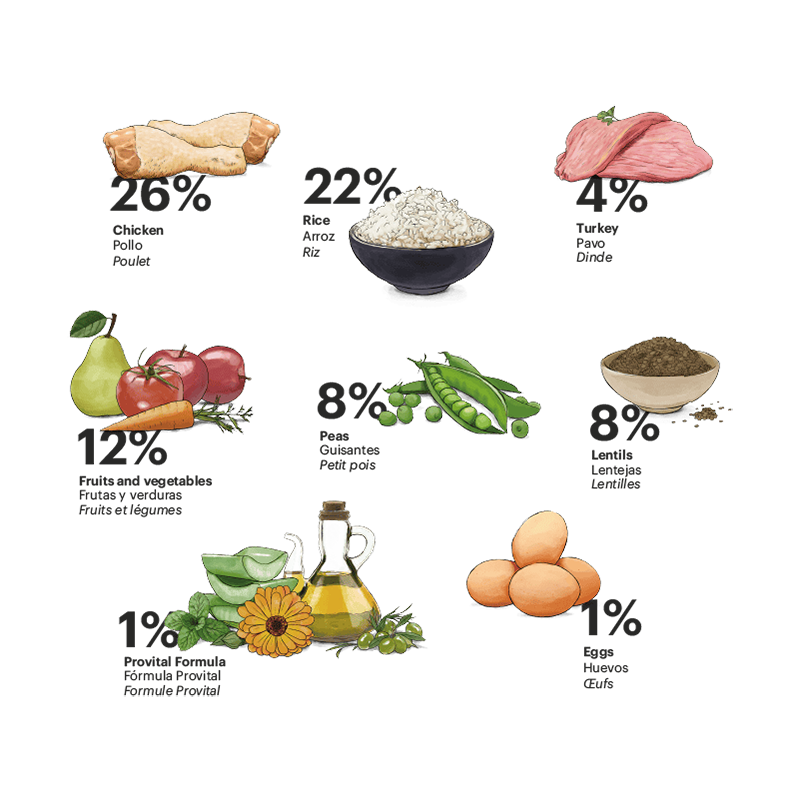 Alimento para perro / Gosbi Exclusive raza mini / Pollo, pescado, legumbres y verduras / 2 kg