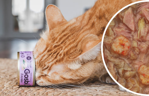 Alimento húmedo para gato / Atún con camarón / Gosbi / 70 gr