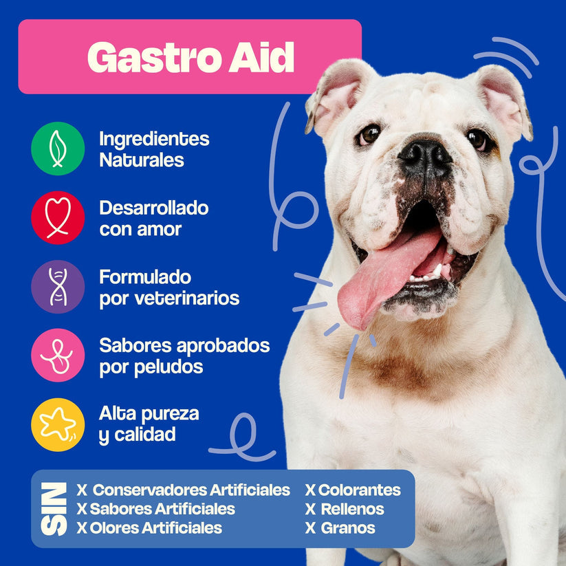 Dogelthy / Gastro Aid / Pre + Probióticos para perros y gatos