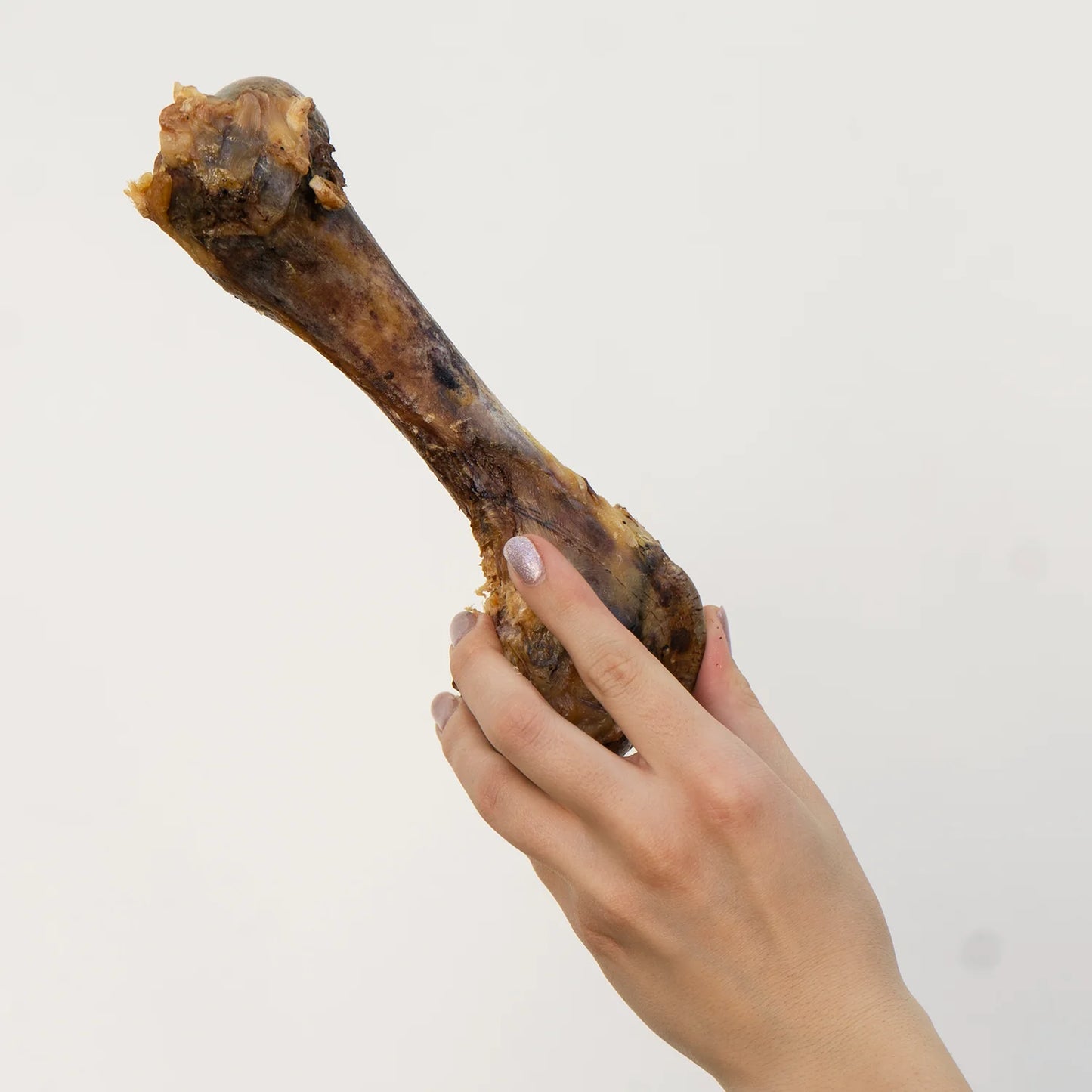Hueso de femur horneado / Maka / 1 pieza