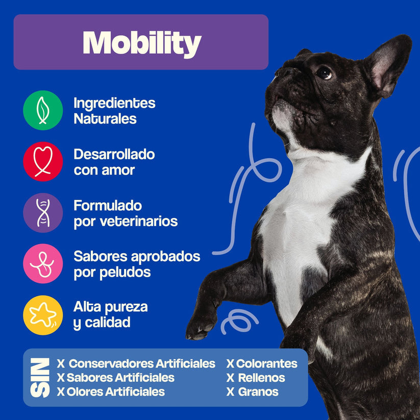 Dogelthy / Mobility / Auxiliar en el Cartílago de las Articulaciones Sabor Pescado de 270g.