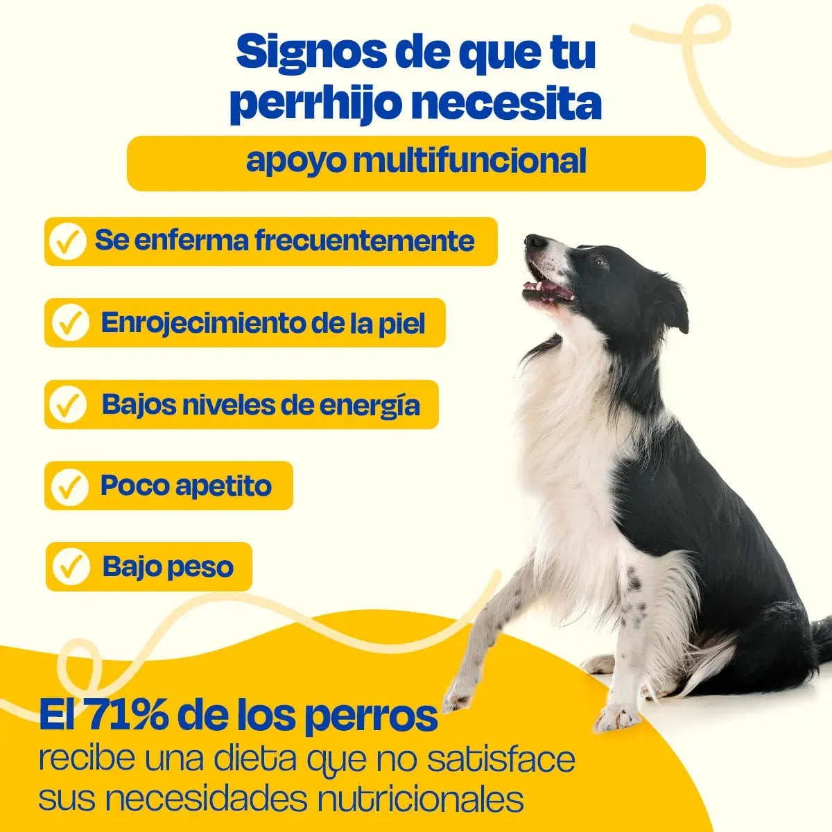 Dogelthy / Multivitaminico para perro
