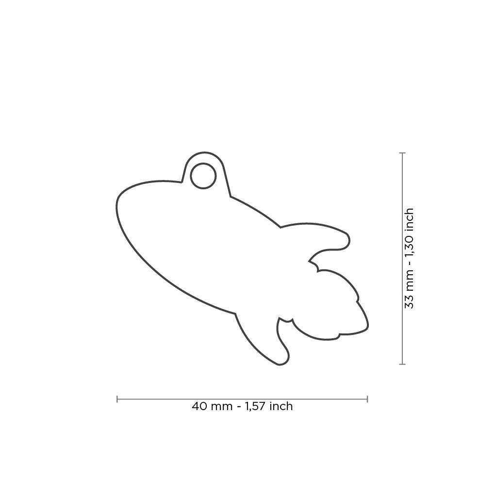 Placa / My Family / Rocket