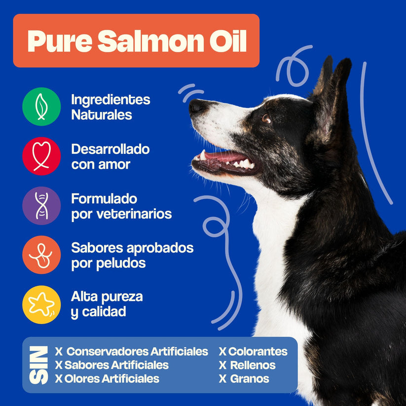 Dogelthy / Aceite de salmón con omega 3 / Para pelo, piel y articulaciones