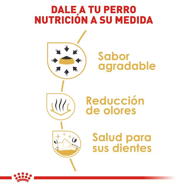Royal Canin Chihuahua Adulto - Croquetas