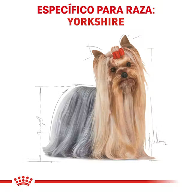 Royal Canin Yorkshire Terrier Adulto – Alimento Seco para Perro