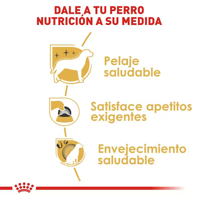 Royal Canin Yorkshire Terrier Adulto – Alimento Seco para Perro