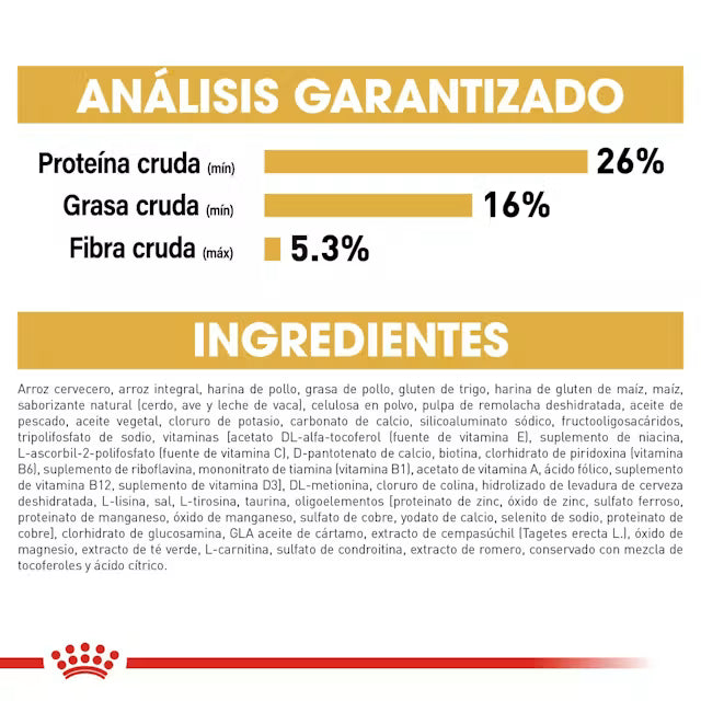 Royal Canin Yorkshire Terrier Adulto – Alimento Seco para Perro