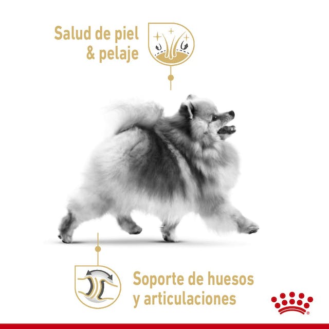 Royal Canin Pomerania Adulto