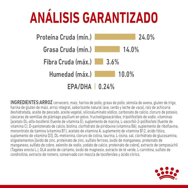 Royal Canin Pomerania Adulto