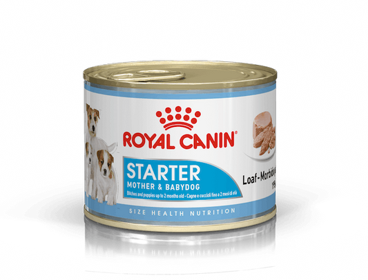 Starter mousse lata / Royal Canin / 145 gr