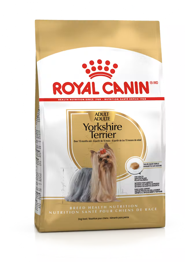 Royal Canin Yorkshire Terrier Adulto – Alimento Seco para Perro