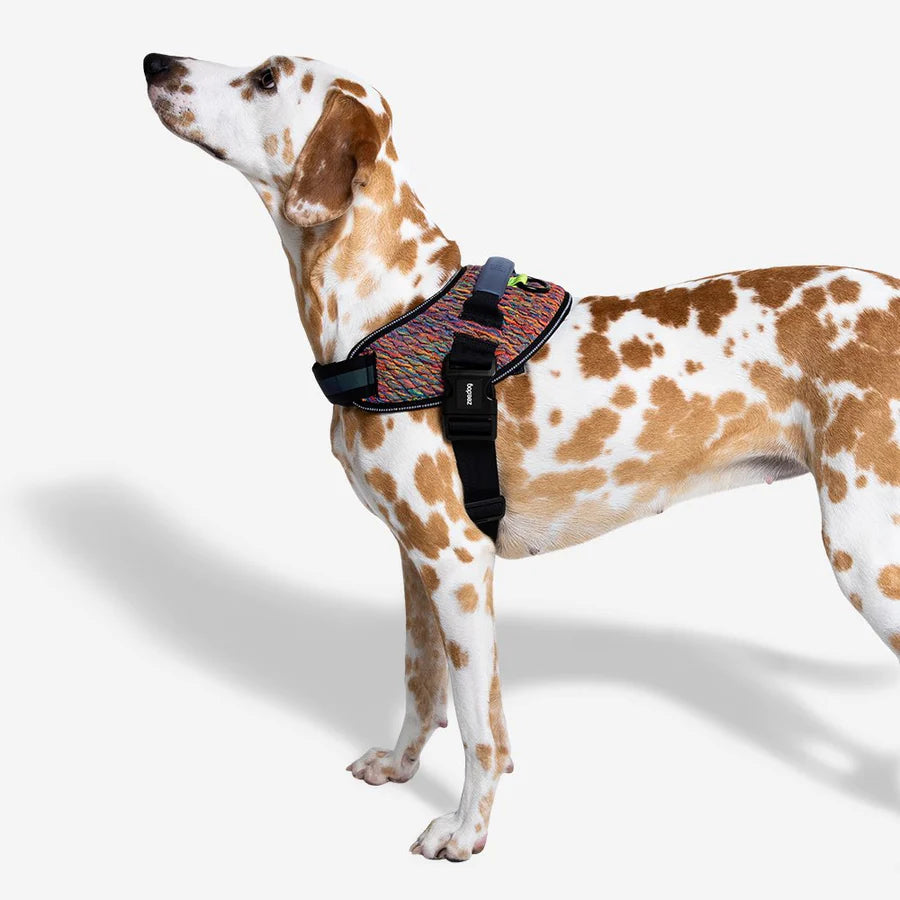 Arnés para perro / Vortex / FlyHarness Zee.Dog