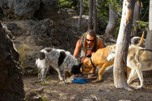 Quencher® Plato Portátil y Colapsable para Alimentos y Agua Ruffwear (4664991744136)