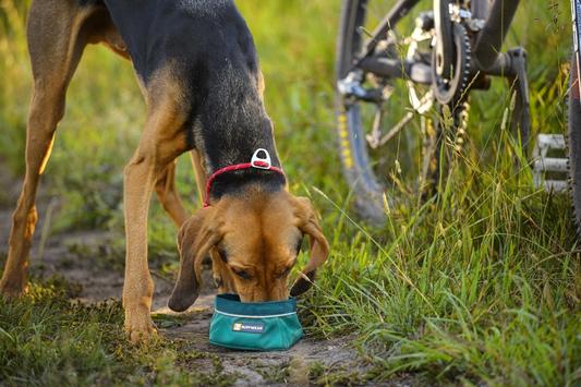 Quencher® Plato Portátil y Colapsable para Alimentos y Agua Ruffwear (4664991744136)