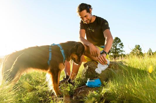 Trail Runner Bowl® Plato Ultra Portátil y Colapsable Ruffwear® (4665011929224)