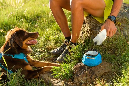 Trail Runner Bowl Plato Ultra Port til y Colapsable Ruffwear