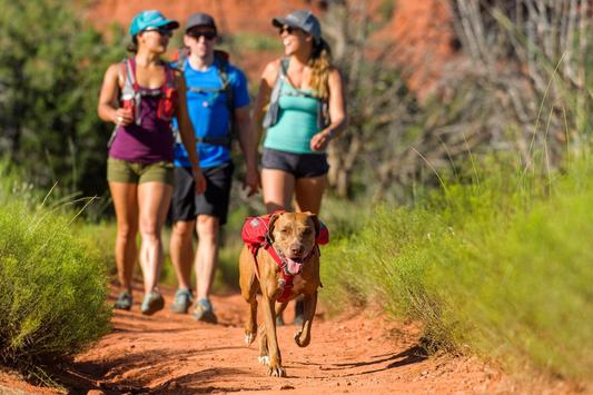 Alforja para Hidratación Singletrak Pack® Blue Dusk Ruffwear (4664866406536)