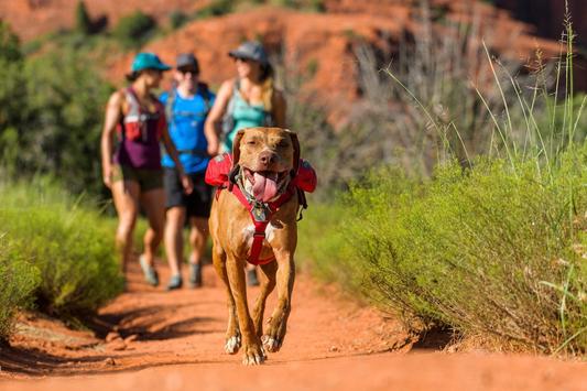 Alforja para Hidratación Singletrak Pack® Blue Dusk Ruffwear (4664866406536)