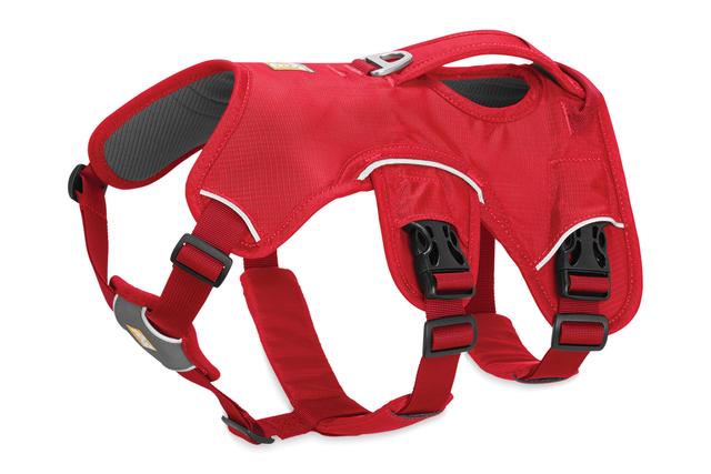 Arnés Web Master Red Currant de Ruffwear (4664813224072)