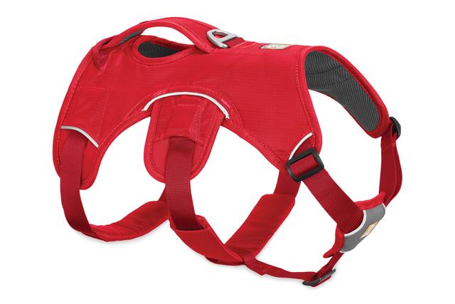 Arnés Web Master Red Currant de Ruffwear (4664813224072)