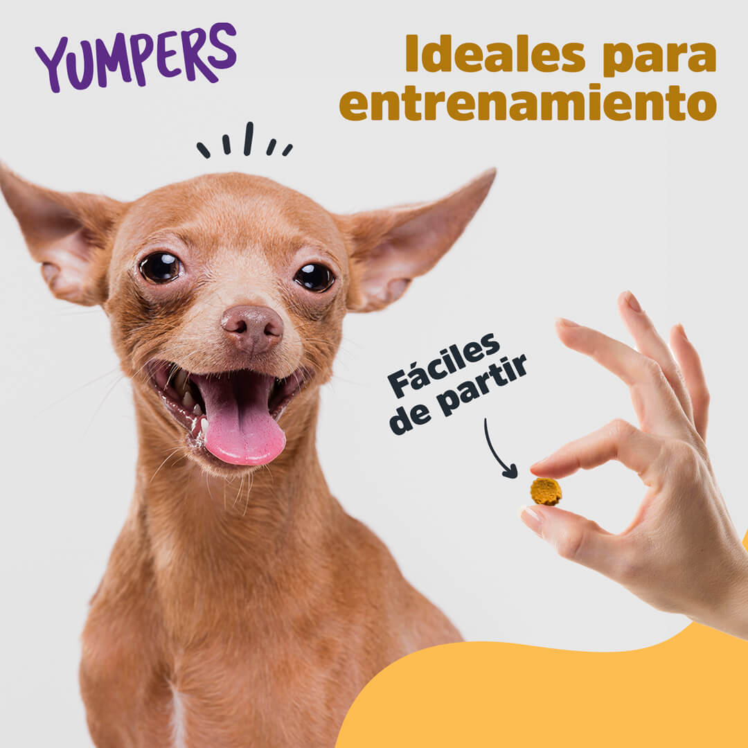 Premios para perro / Yumpers sabor pollo