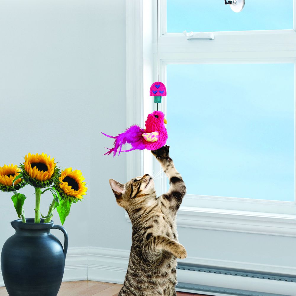 Kong connects / juguete para gato con ventosa para ventana