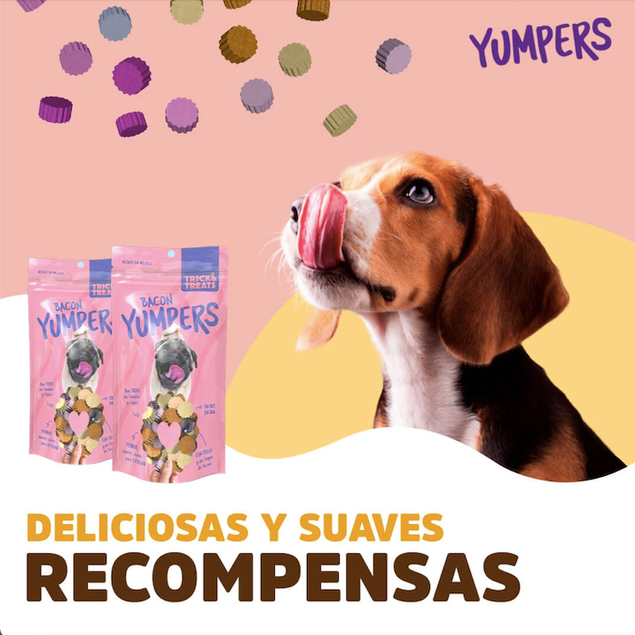 Premios para perro / Yumpers Tocino Trick and Treats.