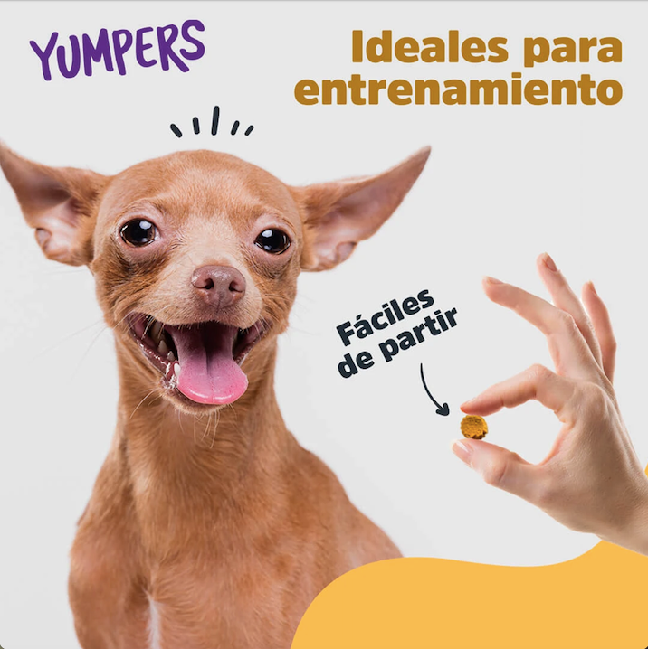 Premios para perro / Yumpers Tocino Trick and Treats.